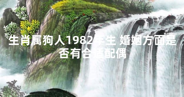 生肖属狗人1982年生 婚姻方面是否有合适配偶